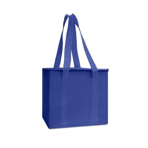 BOLSA TÉRMICA 12 LITROS SPX-O@02697 NA COR AZUL